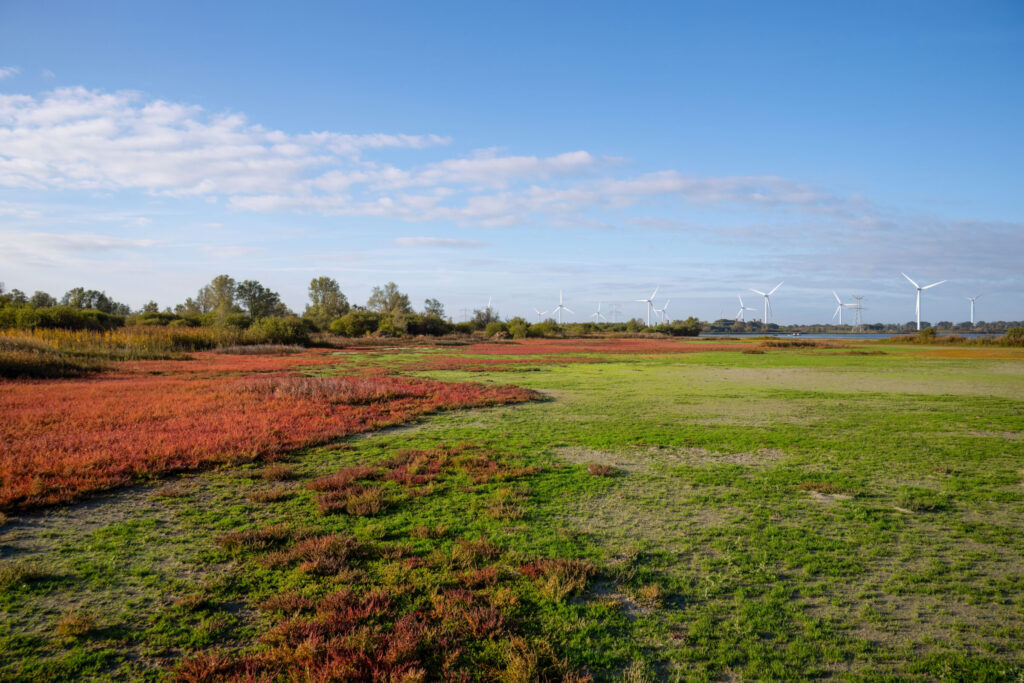 Natuurgebied Markiezaat door Bart Pörtzgen, Brabants Landschap