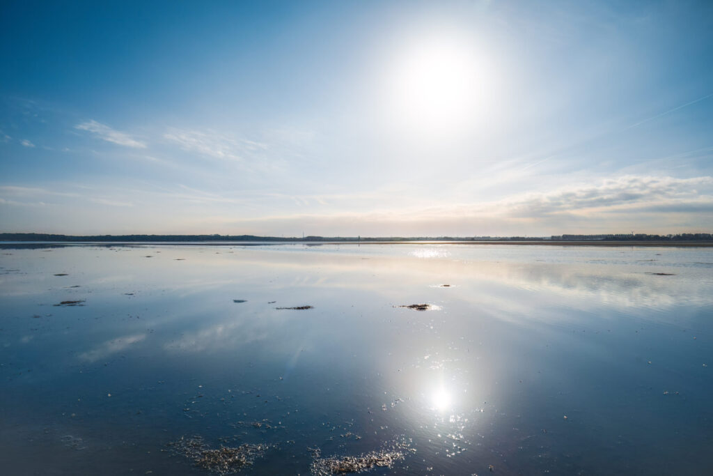 Natuurgebied Markiezaat door Bart Pörtzgen, Brabants Landschap