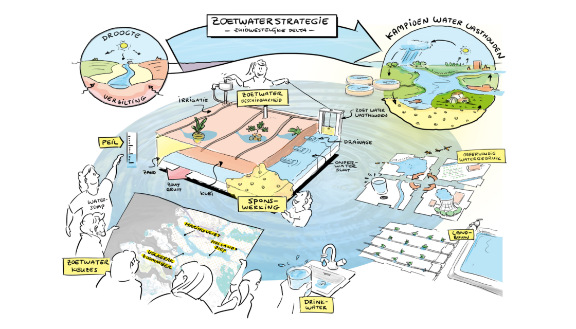 Visual over de zoetwaterstrategie voor de Zuidwestelijke Delta, gericht op een klimaatbestendig en economisch vitaal gebied. De illustratie laat zien hoe wordt ingezet op zelfvoorzienendheid, het slim beheren van zoetwater en het vergroten van de sponswerking, met toepassingen voor landbouw, drinkwater en natuur. Doel is om als regio kampioen water vasthouden te worden.