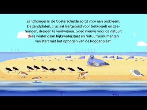 Roggenplaat gered