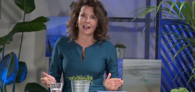 Introductie workshop 4: Rijke platen, slikken en schorren