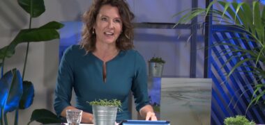 Introductie workshop 5: Gezonde en verbonden zeearmen