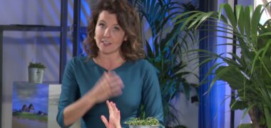 Introductie workshop 1: Sterke en aantrekkelijke kust